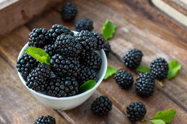 Can Cats Eat Blackberries