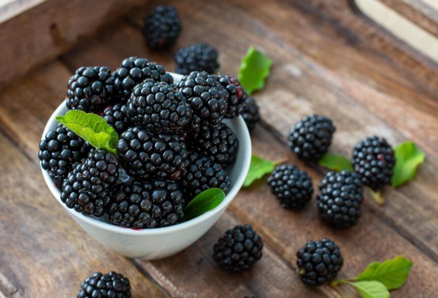 Can Cats Eat Blackberries