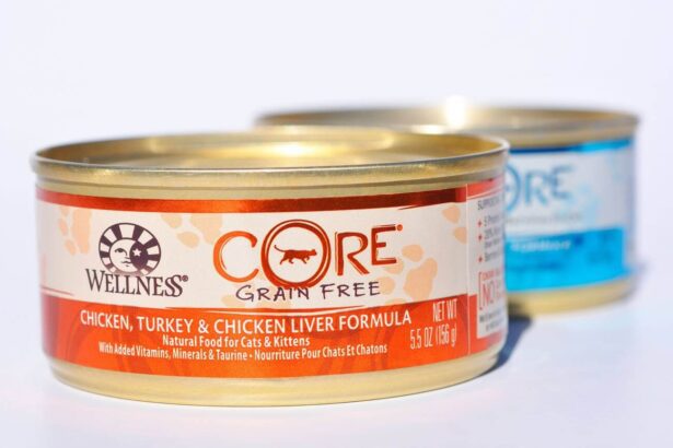 Is Grain-Free Cat Food Better