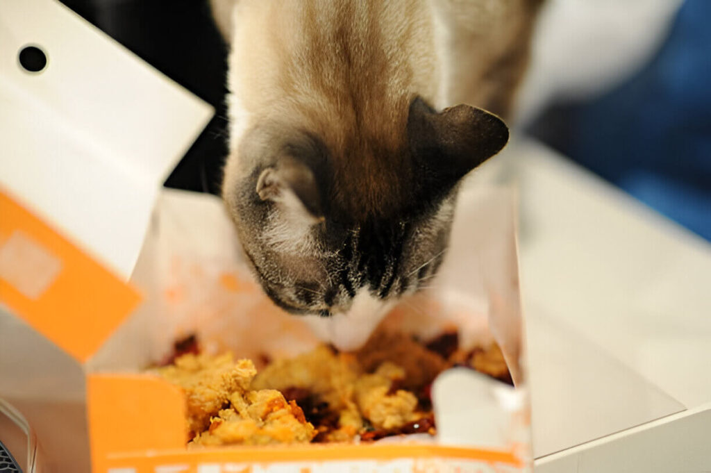 Can Cats Eat Chicken Nuggets