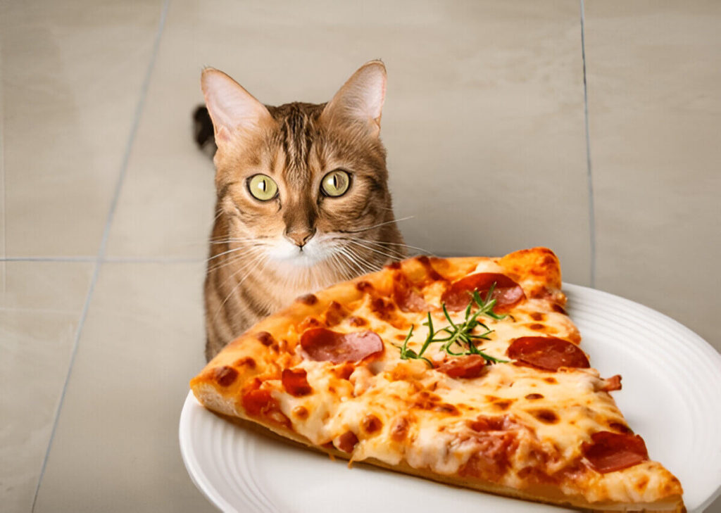 Can Cats Eat Pizza