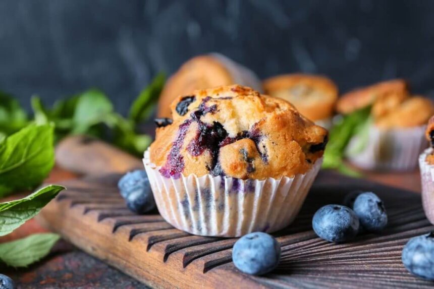 Can Cats Eat Blueberry Muffins