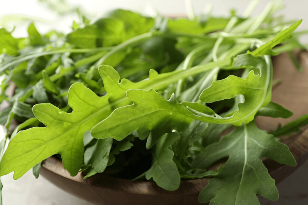 Can Cats Eat Arugula