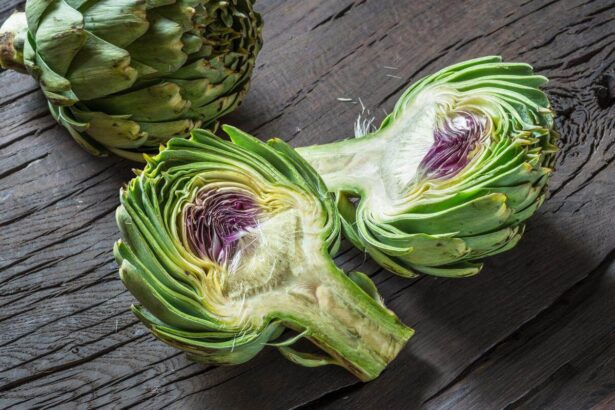 Can Cats Eat Artichokes