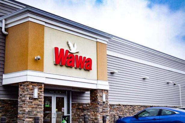 Does Wawa Sell Cat Food