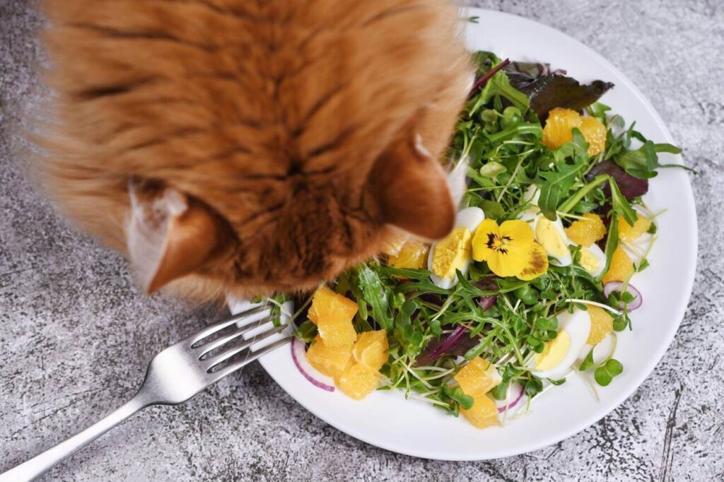 Can Cats Eat Microgreens