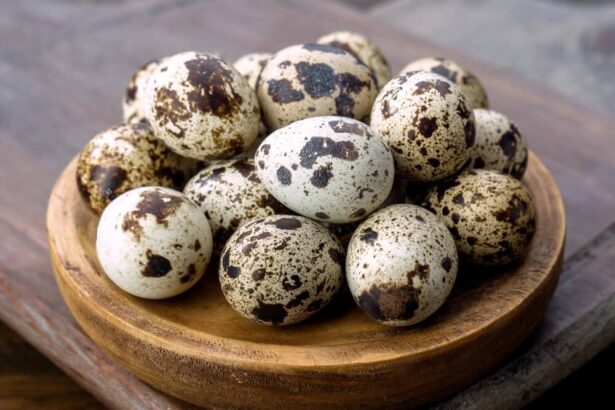 Can Cats Eat Quail Eggs