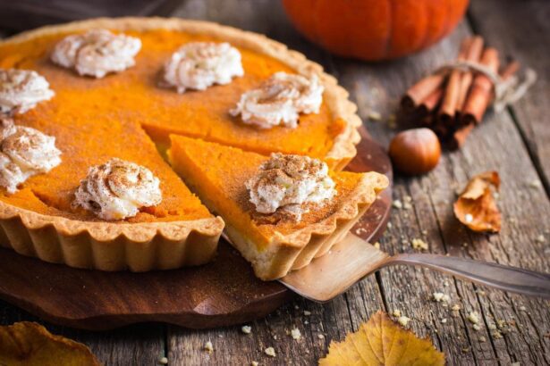 Can Cats Eat Pumpkin Pie Filling