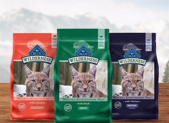 Is Blue Wilderness Cat Food Good