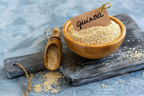 Can Cats Eat Quinoa