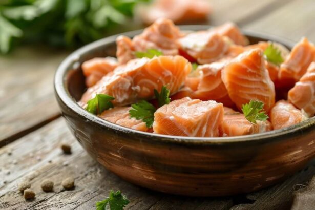 Homemade Salmon Cat Food Recipe