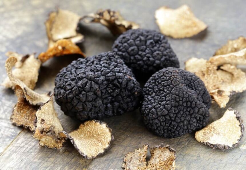 Can Cats Eat Truffles