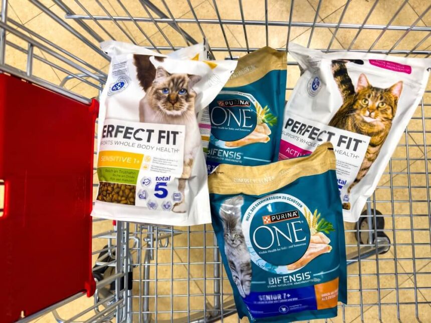 How To Change Cat Food Brands