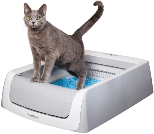 PetSafe ScoopFree Self-Cleaning Litter Box