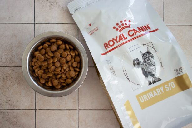 Is Royal Canin Dry Cat Food Good