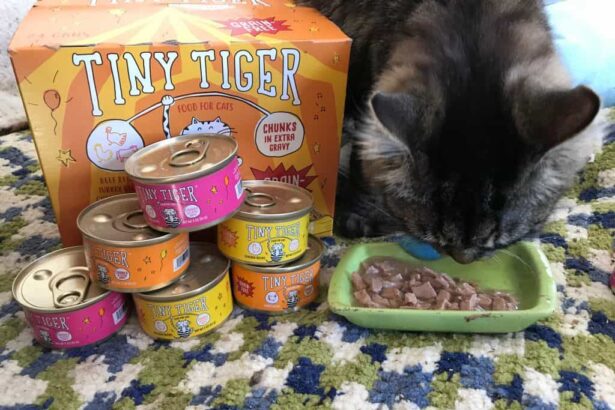 Tiny Tiger Cat Food