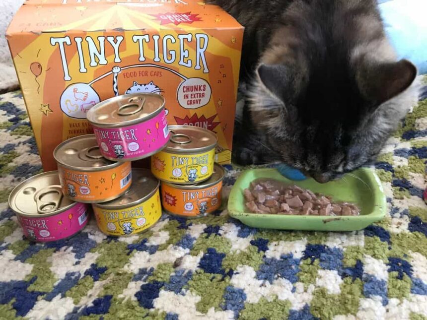 Tiny Tiger Cat Food