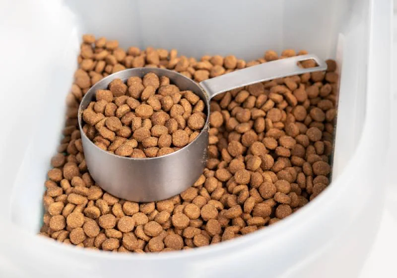 How Long to Soak Dry Cat Food