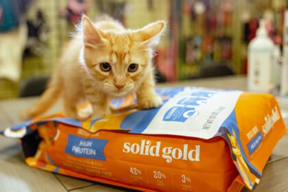 Is Solid Gold A Good Cat Food