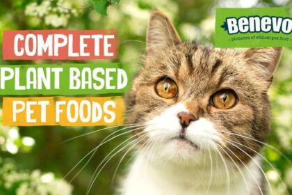 Original Benevo Cat Food Vegan: Best 5 Key Features