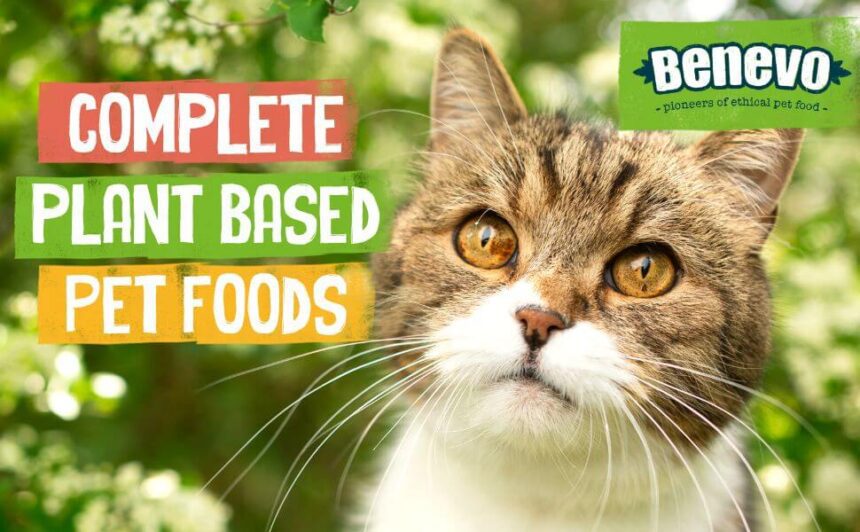 Original Benevo Cat Food Vegan: Best 5 Key Features