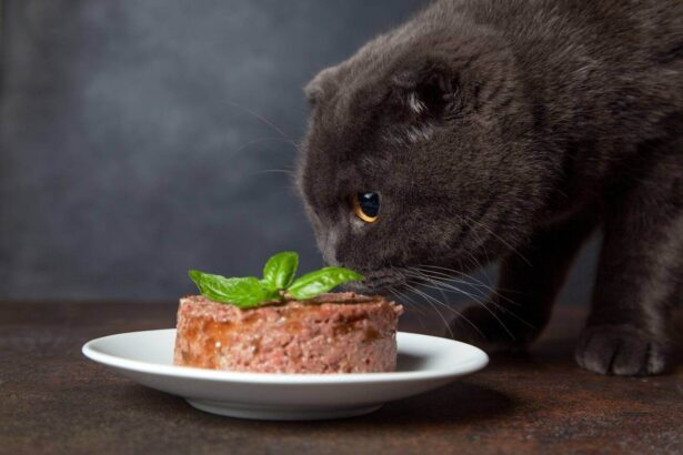 What Is Pate Cat Food