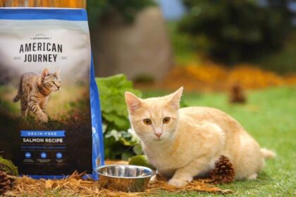 American Journey Cat Food