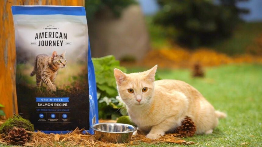 American Journey Cat Food