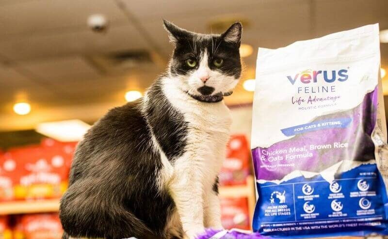 Verus Cat Food