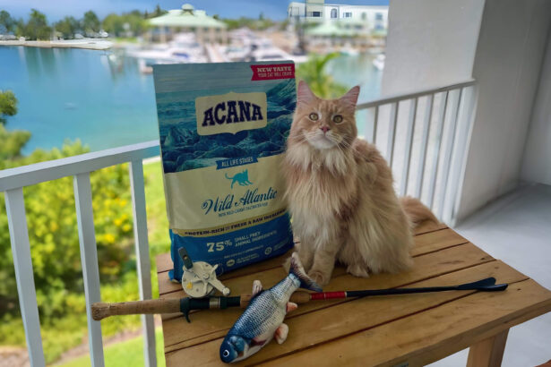 Acana Wild Atlantic Dry Cat Food Review