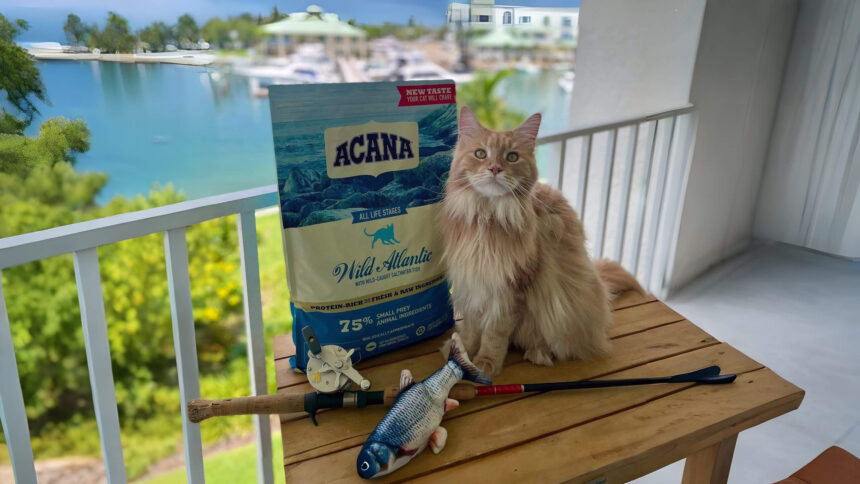 Acana Wild Atlantic Dry Cat Food Review