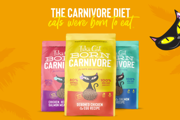 Tiki Cat Born Carnivore