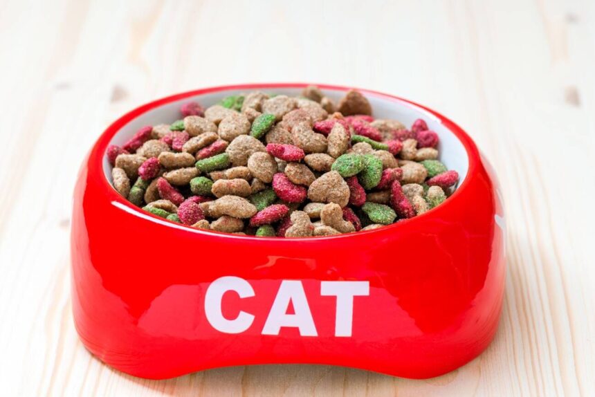 Does Dry Cat Food Go Bad