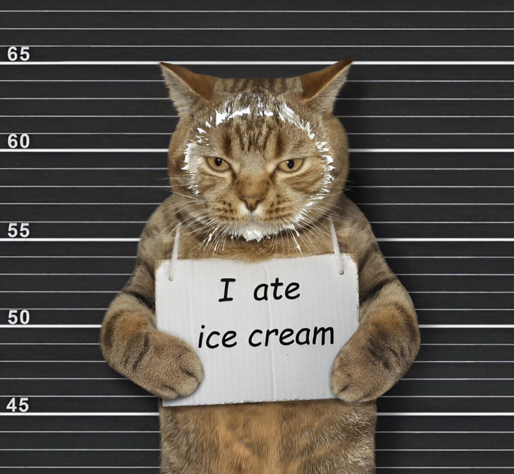 Cat Eating Ice Cream