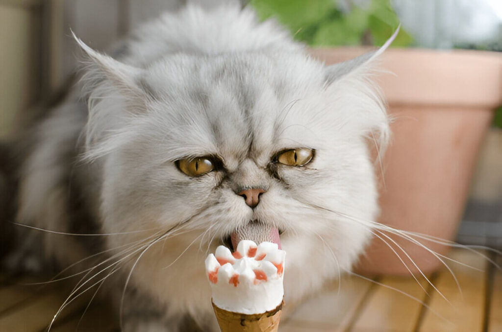 Cat Eating Ice Cream